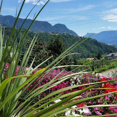 Pension Weinberg Rifiano Ngoại thất bức ảnh